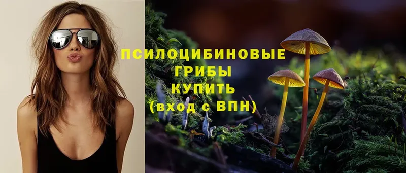 KRAKEN как войти  Горячий Ключ  Галлюциногенные грибы Psilocybine cubensis 